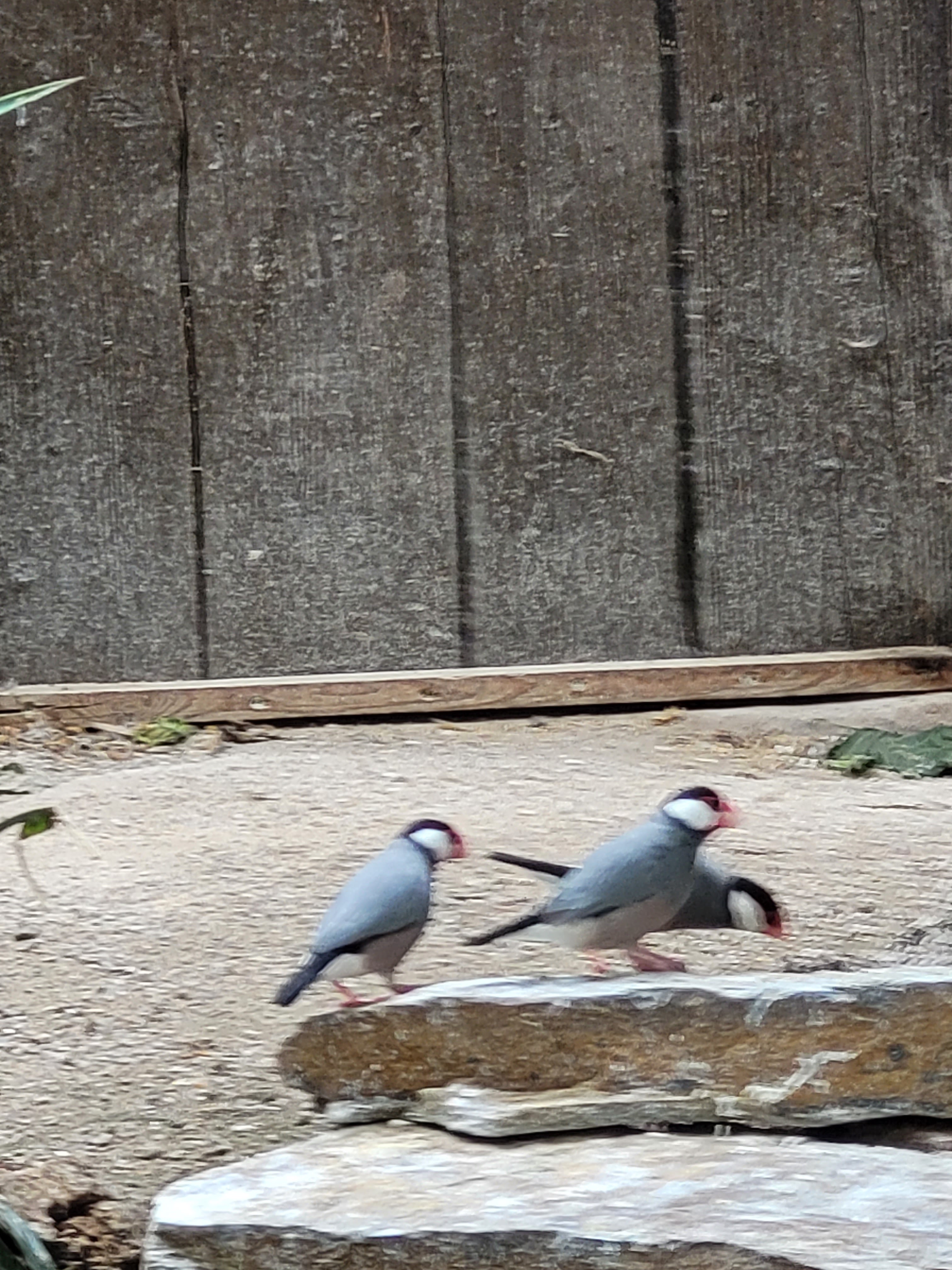 Photo n° 4 de l'avis de Stéphanie.o fait le 31/07/2022 à 16:28