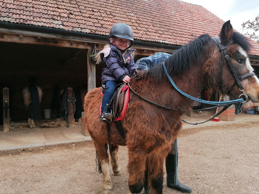 Horse riding lessons Peterborough