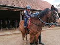 Best Horse Riding Lessons Peterborough Near You