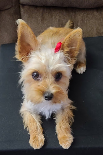 Pet Supply Store «PetSmart», reviews and photos, 5 Hampton House Rd, Newton, NJ 07860, USA