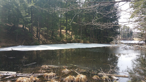 Community Center «Wason Pond Community Center, Chester NH», reviews and photos, 603 Raymond Rd, Chester, NH 03036, USA