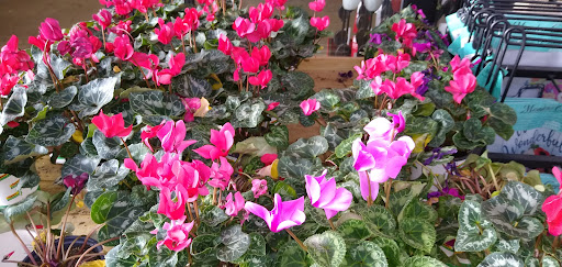 Home Improvement Store «The Home Depot», reviews and photos, 7001 Crestwood Blvd #1300, Birmingham, AL 35210, USA