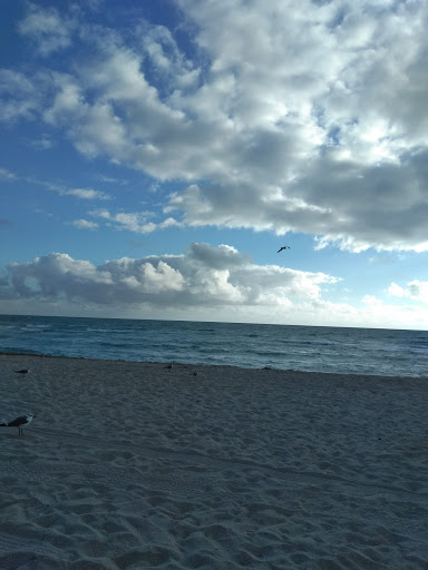 Grocery Store «M & L Food Market», reviews and photos, 7446 Collins Ave, Miami Beach, FL 33141, USA