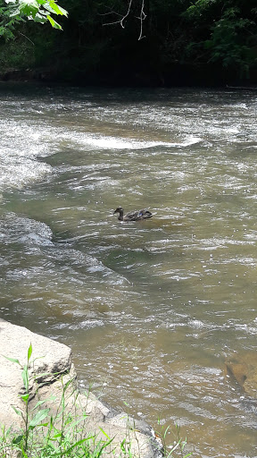 National Park «Chattahoochee River National Recreation Area - Allenbrook Unit», reviews and photos, 227 S Atlanta St, Roswell, GA 30075, USA