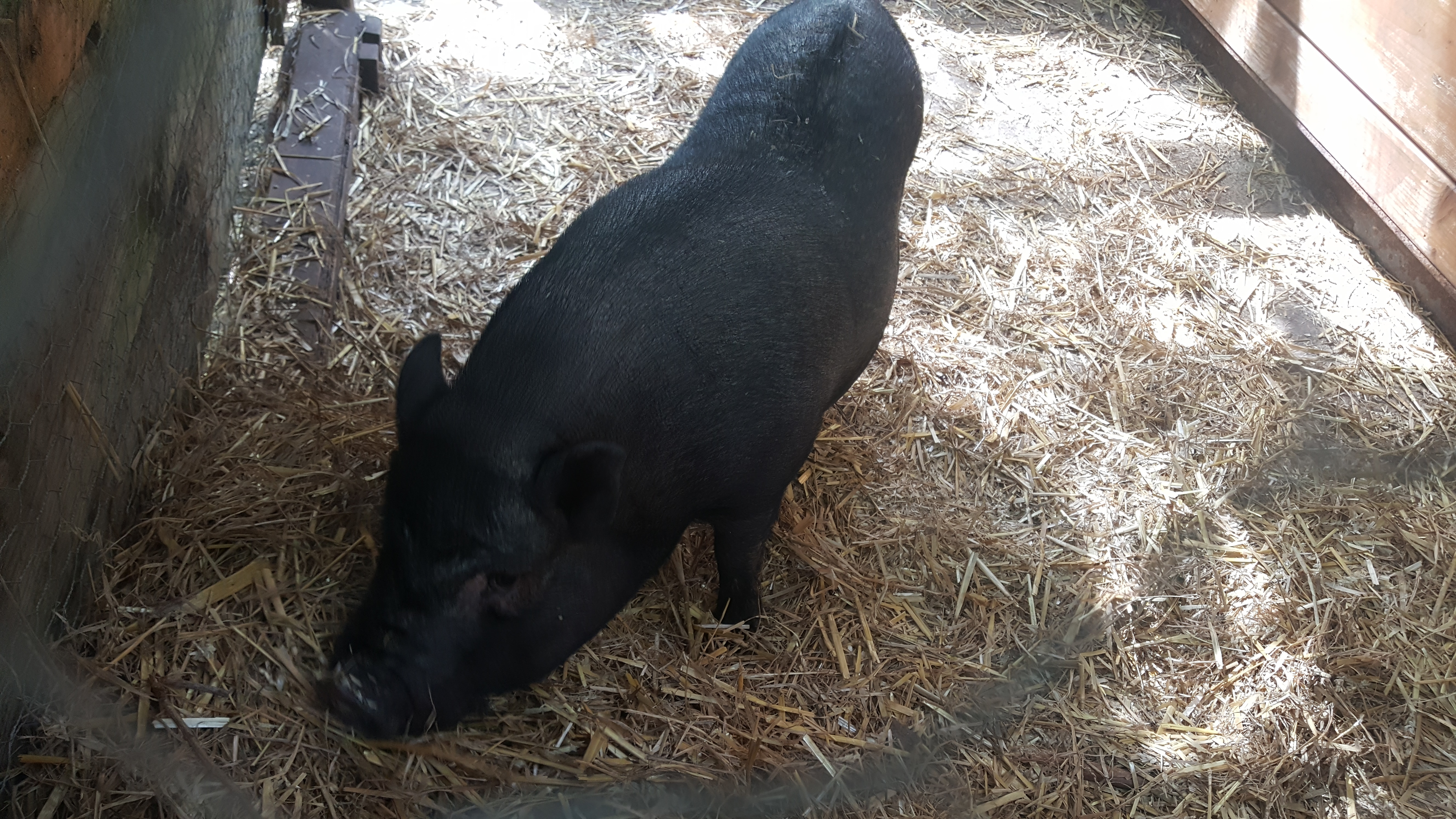 Photo n° 3 de l'avis de Vincent.O fait le 26/08/2018 à 18:44