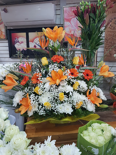 Floreria Flores de Diana - Linares