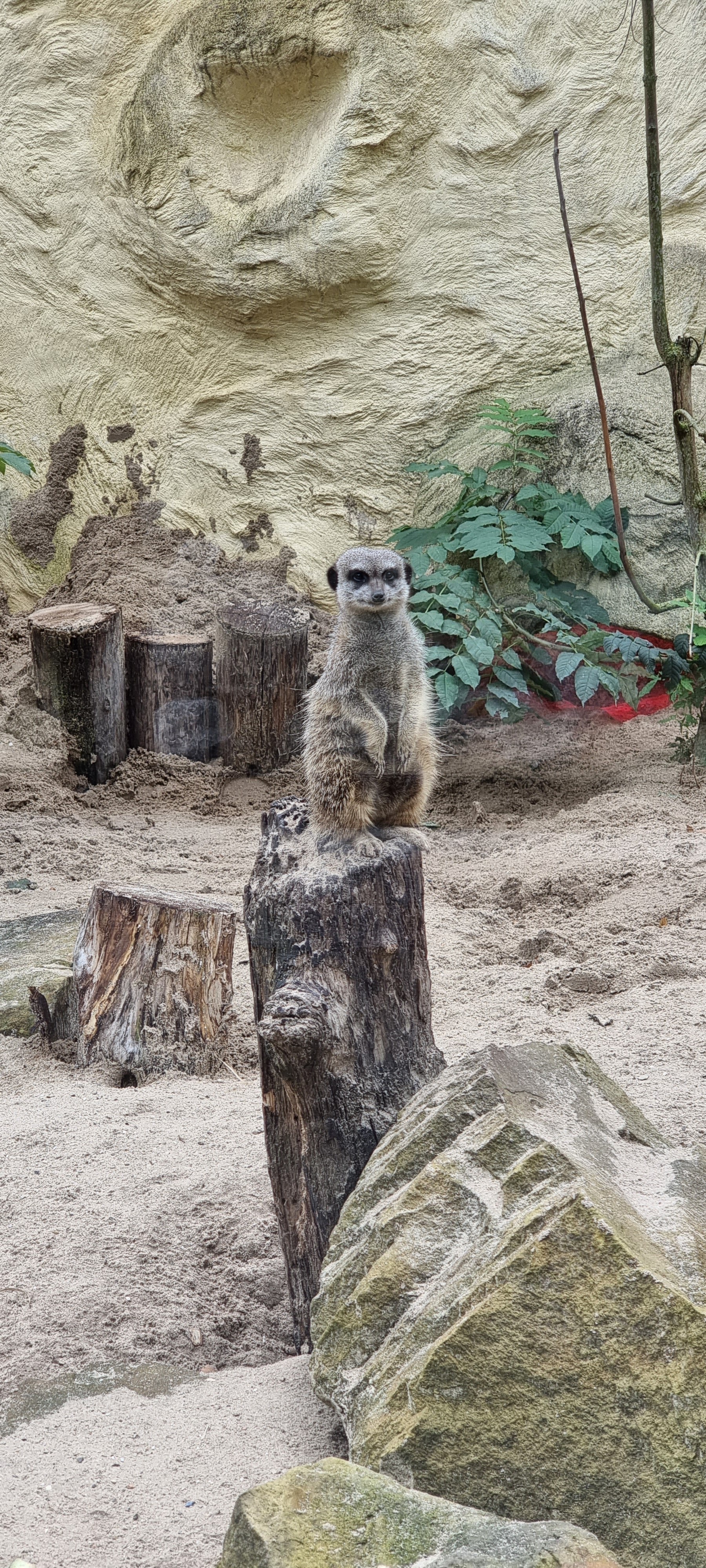 Photo n° 2 de l'avis de Fabien.a fait le 29/09/2022 à 11:23