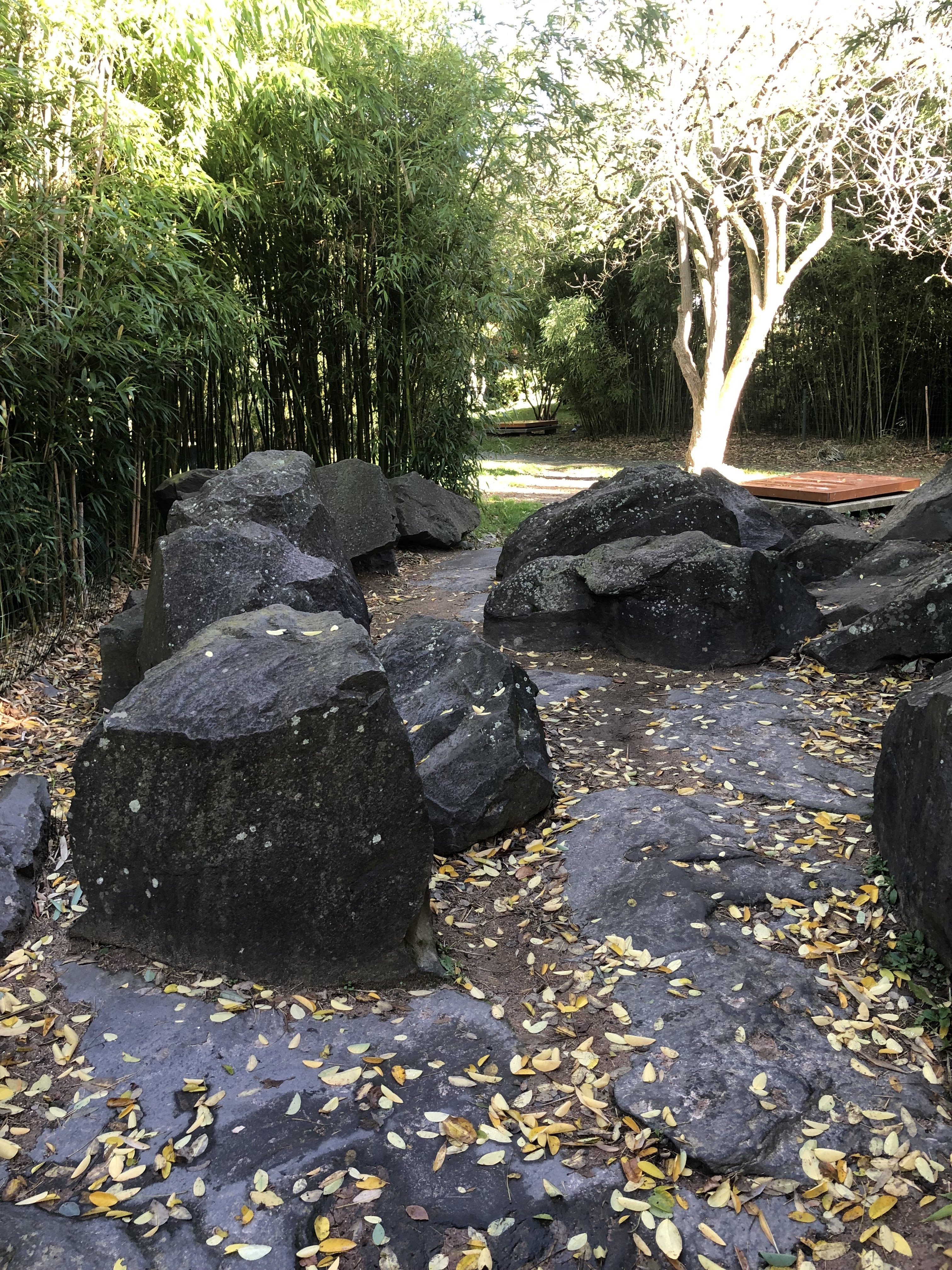 Photo n° 42 de l'avis de Jean.o fait le 22/11/2018 à 10:25