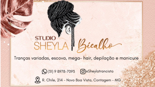 Logo da empresa - Studio Sheyla Bicalho