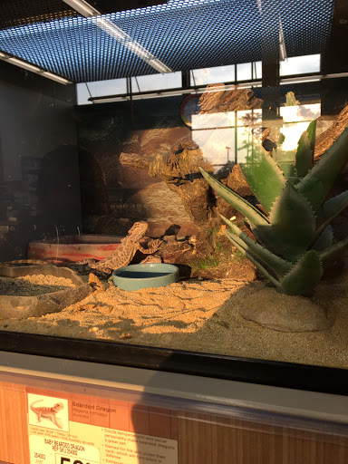 Pet Supply Store «Petco Animal Supplies», reviews and photos, 110 Percival Rd, Columbia, SC 29206, USA