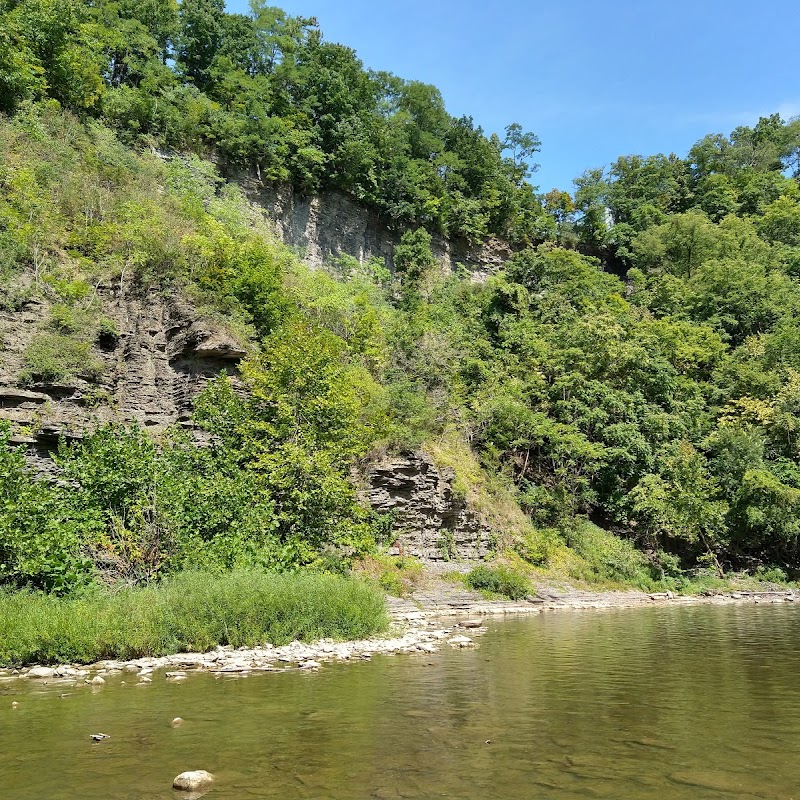 Ithaca Falls Natural Area