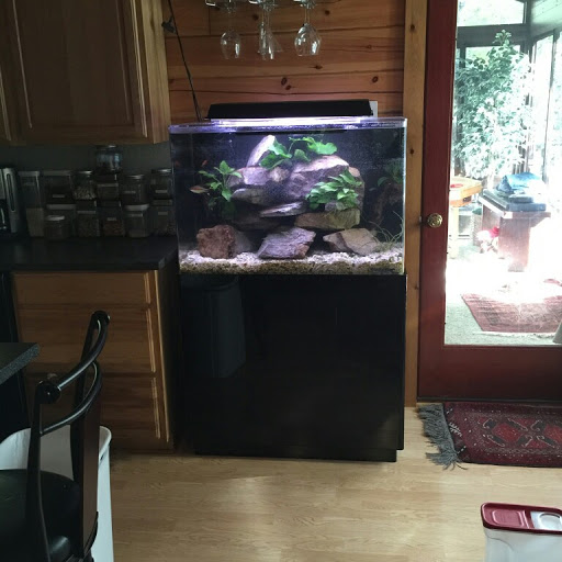 Pet Store «Fish Geeks», reviews and photos, 5845 Hillside Ln, Mechanicsburg, PA 17050, USA