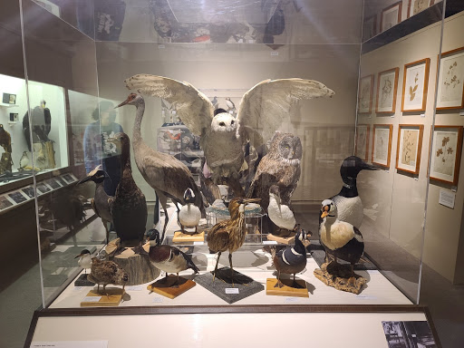 Natural History Museum «Museum of Natural History and Planetarium», reviews and photos, 1000 Elmwood Ave, Providence, RI 02907, USA