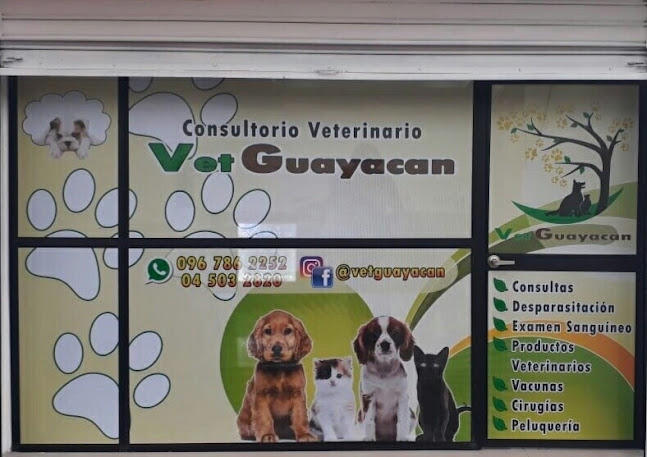 VetGuayacan - Guayaquil