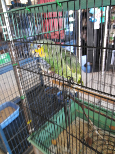 Pet Store «Pet Shoppe», reviews and photos, 2144 Springs Rd, Vallejo, CA 94591, USA