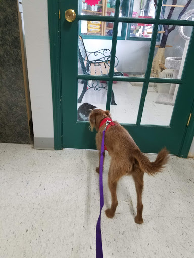 Pet Supply Store «Myrtle Avenue Pet Center», reviews and photos, 2725 Hubbard Ln, Eureka, CA 95501, USA
