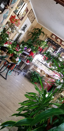 Florist «Plant Safari», reviews and photos, 653 N Central Ave, Upland, CA 91786, USA