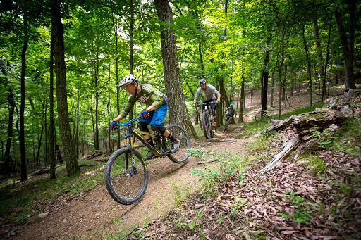 Bicycle Rental Service «Roanoke Mountain Adventures», reviews and photos, 806 Wasena Ave SW, Roanoke, VA 24015, USA