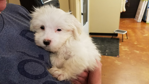 Pet Store «Fairwood Pet Center», reviews and photos, 14201 SE Petrovitsky Rd, Renton, WA 98058, USA