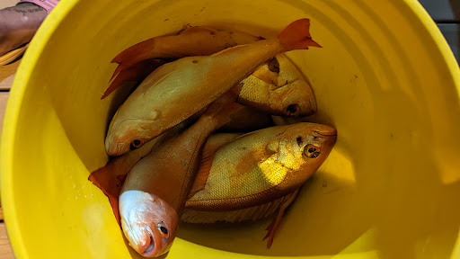 Fishing Charter «Obsession Fishing Charters», reviews and photos, 505 Glen Cheek Dr, Cape Canaveral, FL 32920, USA