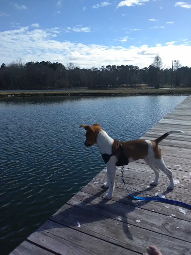 Public Golf Course «Lagoon Park Golf Course», reviews and photos, 2855 Lagoon Park Dr, Montgomery, AL 36109, USA