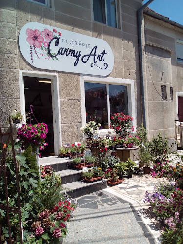 Floraria Carmy Art