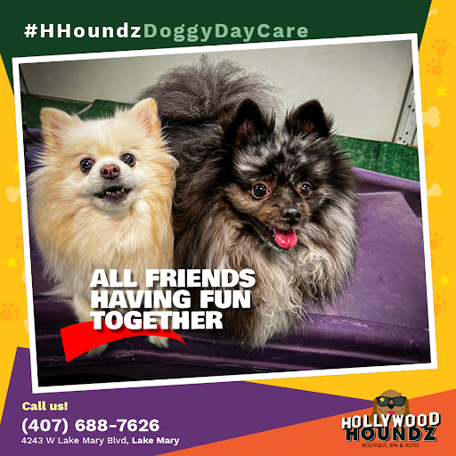 Pet Groomer «Hollywood Houndz Boutique, Spa & Hotel», reviews and photos, 4243 W Lake Mary Blvd, Lake Mary, FL 32746, USA