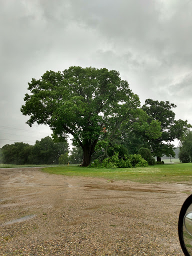 Golf Course «Green Valley Golf & Health Club», reviews and photos, 25379 Fawn River Rd, Sturgis, MI 49091, USA