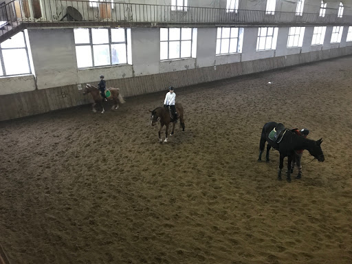 Horse riding courses Donetsk