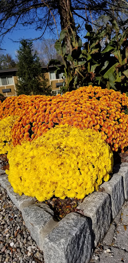 Resort «Rocking Horse Ranch», reviews and photos, 600 US-44, Highland, NY 12528, USA