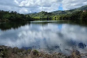 Lago Garzas image