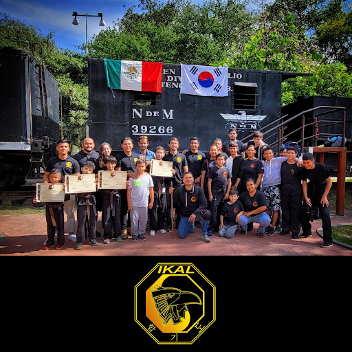 Ikal Hapkido GDL. Academia de artes marciales de defensa personal