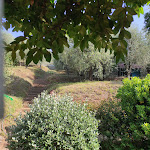 Photo n°1 de l'avis de Yuri.h fait le 26/08/2021 à 16:54 sur le  La Casetta di Butia à Borgo a Mozzano