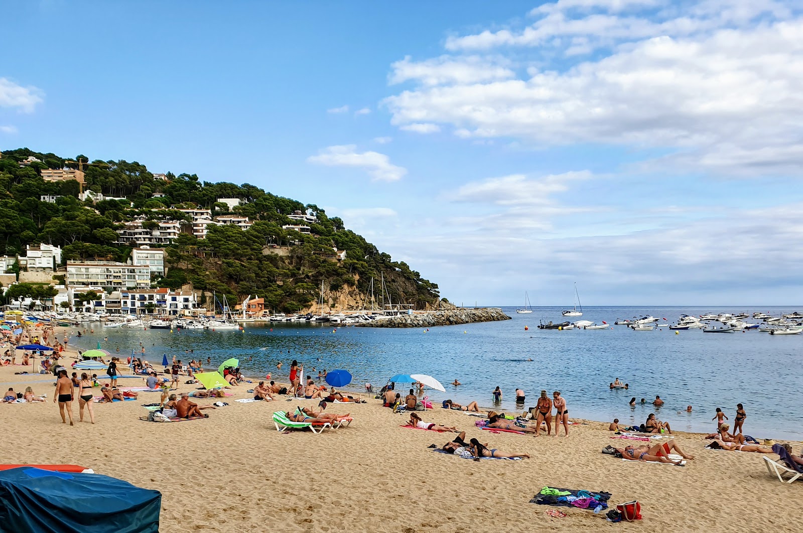 Foto di Platja de Llafranc e l'insediamento