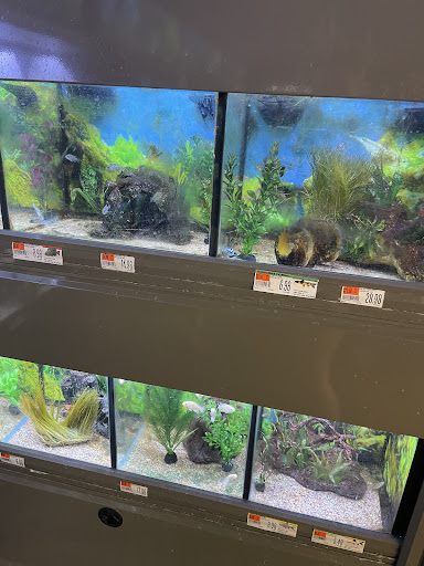 Pet Supply Store «Pet Supplies Plus», reviews and photos, 1268 N Eisenhower Dr, Beckley, WV 25801, USA