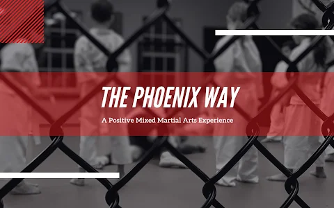 The Phoenix Way image