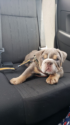 Pet Supply Store «Pet Supplies Plus», reviews and photos, 4505 S 76th St, Greenfield, WI 53220, USA