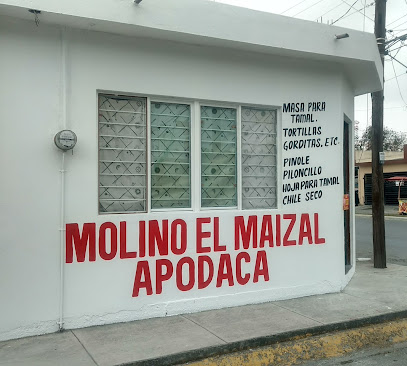 MOLINO PARA NIXTAMAL El Maizal