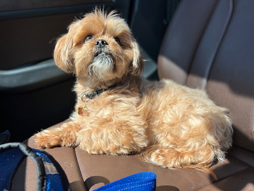 Pet Supply Store «PetSmart», reviews and photos, 1810 Cumming Hwy, Canton, GA 30114, USA