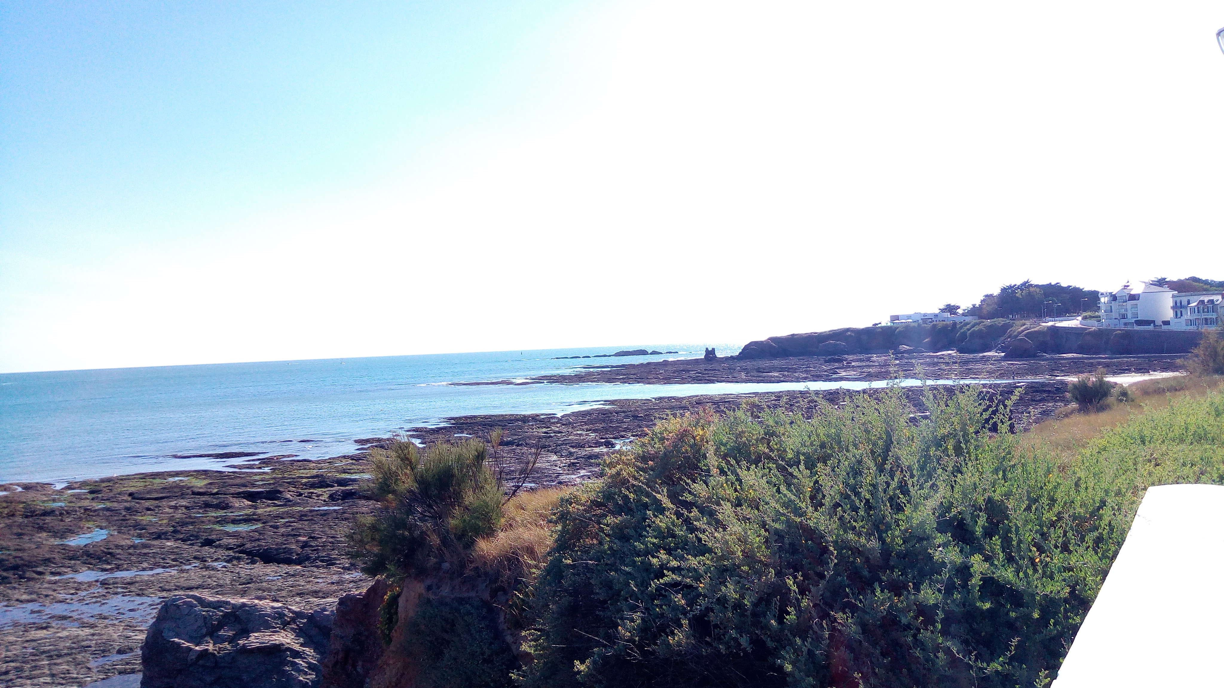 Photo n° 2 de l'avis de JLB.u fait le 08/09/2020 à 18:47