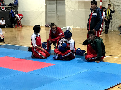 Akdoğan Spor Kulübü Taekwondo Kick Boks Wushu Şentepe Yenimahalle