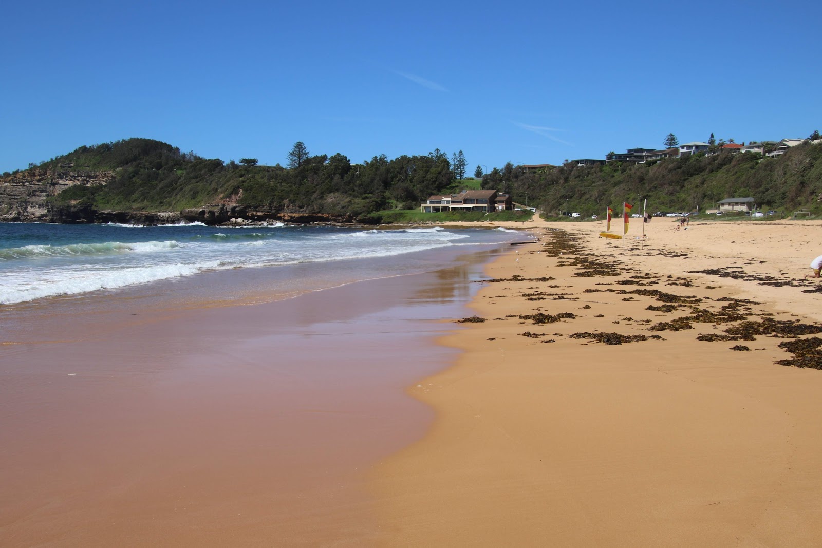 Photo of Warriewood Beach and the settlement