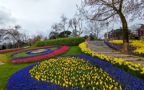 Emirgan Tulip Gardens image