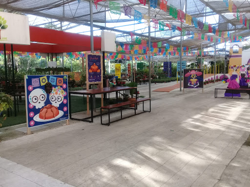 Cheap nurseries Cancun