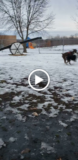 Dog Park «Dog Park», reviews and photos, 851 17th Ave SW, Altoona, IA 50009, USA