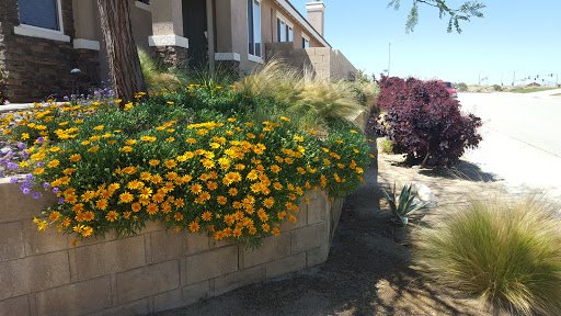 Greenbee Landscape, Inc. image