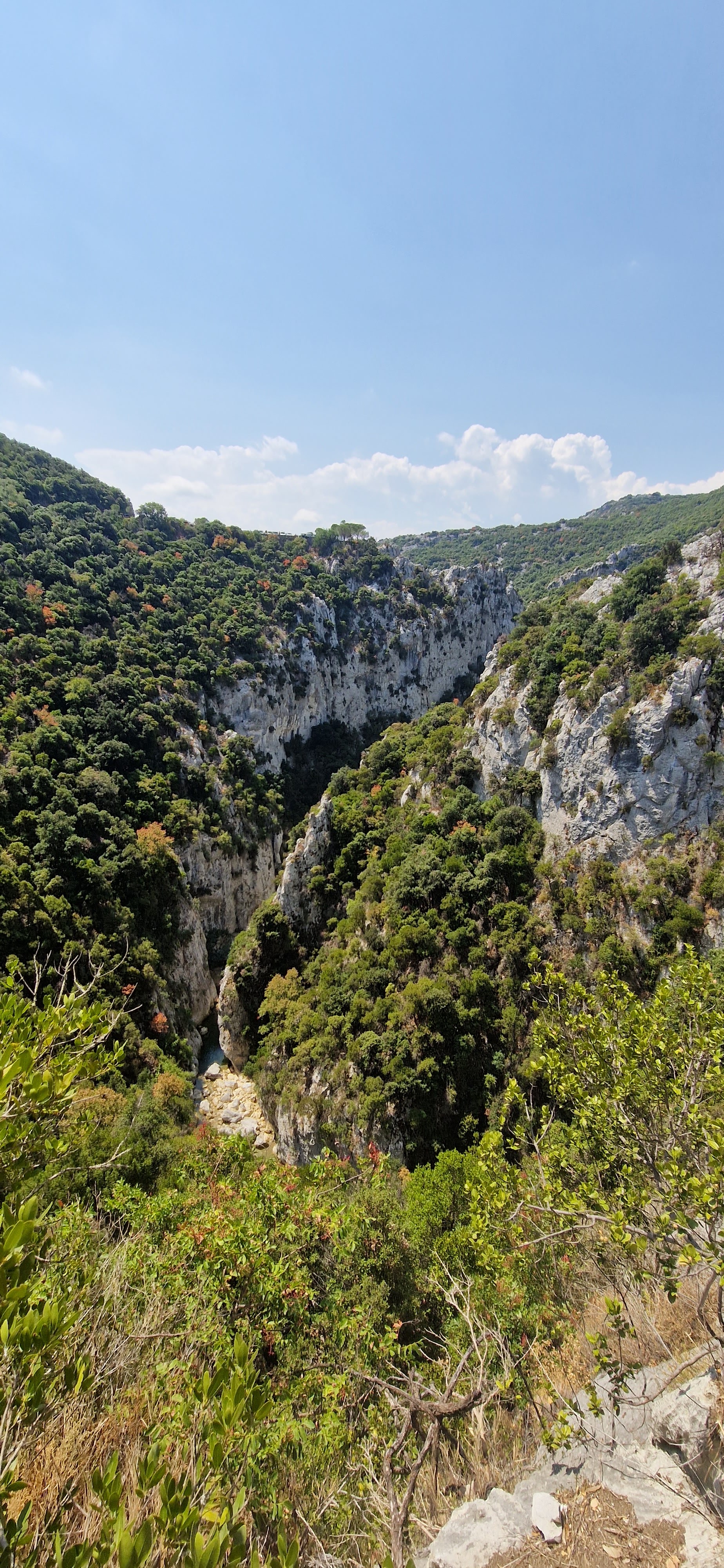 Photo n° 5 de l'avis de julien.l fait le 15/08/2022 à 15:44
