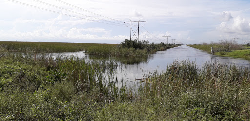 Tourist Attraction «Blackwater Airboat Tours», reviews and photos, US-27, Pompano Beach, FL 33321, USA