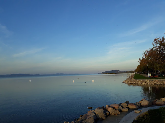 Értékelések erről a helyről: Kultur-Kocsma, Balatonfenyves - Kocsma