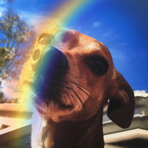 Print Shop «Bishop Canvas Printing», reviews and photos, 124 W Jefferson Blvd, Dallas, TX 75208, USA